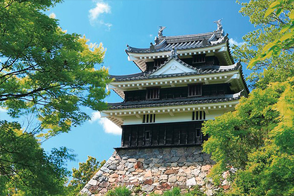 Nishio Castle Ruins